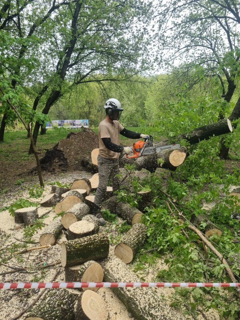 Распиловка деревьев