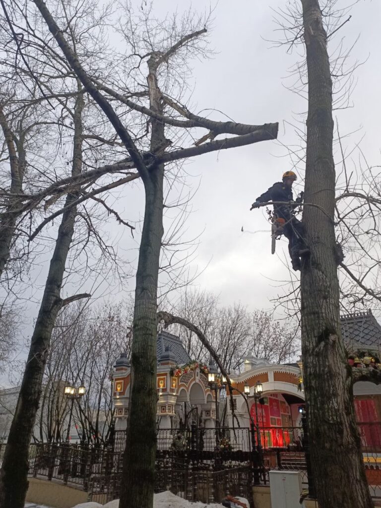 Спил аварийного дерева
